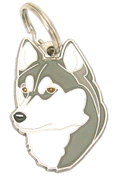 Husky Siberiano, olhos marrom <br> (placa de identificação para cães, Gravado incluído)